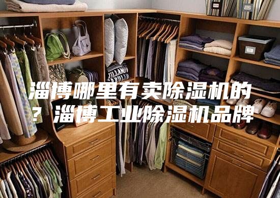淄博哪里有賣除濕機的?淄博工業除濕機品牌