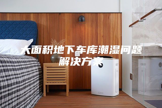 大面積地下車庫潮濕問題解決方案