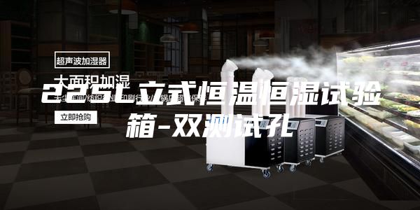 225L立式恒溫恒濕試驗(yàn)箱-雙測(cè)試孔