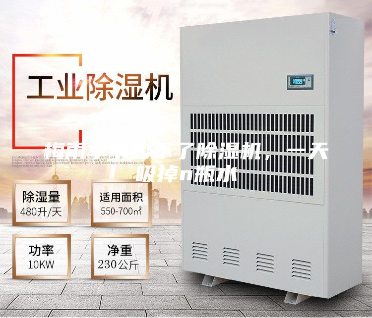 梅雨季節少不了除濕機,一天吸掉n瓶水