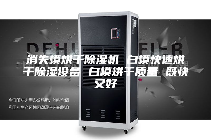 消失模烘干除濕機 白模快速烘干除濕設備 白模烘干質量 既快又好