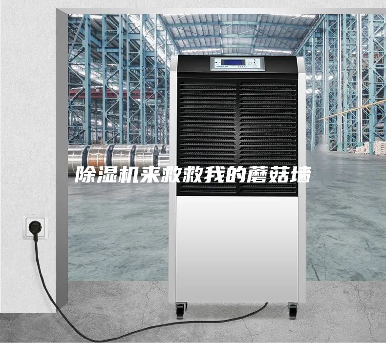 除濕機來救救我的蘑菇墻