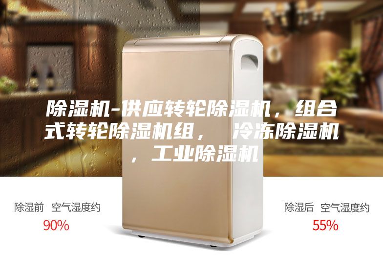 除濕機(jī)-供應(yīng)轉(zhuǎn)輪除濕機(jī)，組合式轉(zhuǎn)輪除濕機(jī)組， 冷凍除濕機(jī)，工業(yè)除濕機(jī)