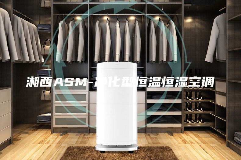 湘西ASM-凈化型恒溫恒濕空調(diào)