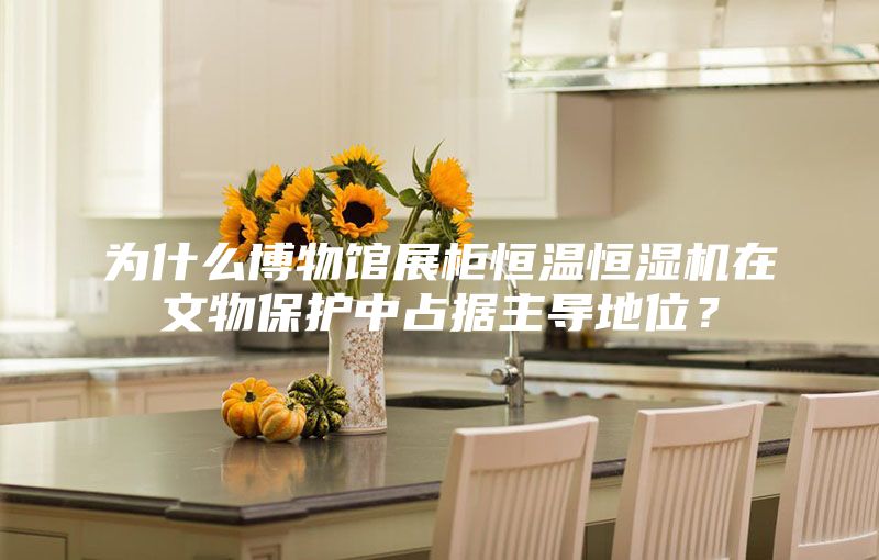 為什么博物館展柜恒溫恒濕機在文物保護中占據主導地位？