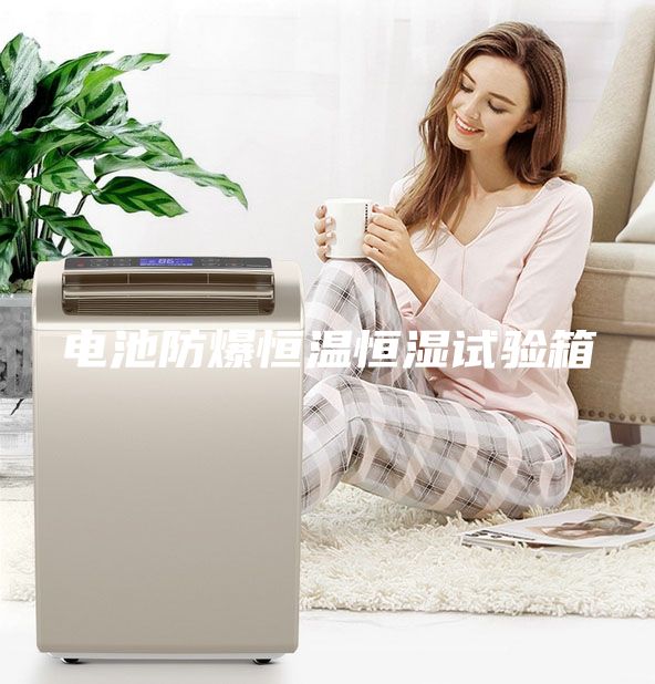 電池防爆恒溫恒濕試驗箱