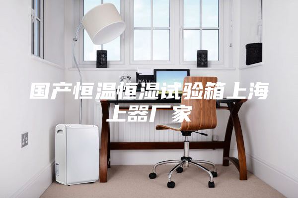 國產(chǎn)恒溫恒濕試驗箱上海上器廠家