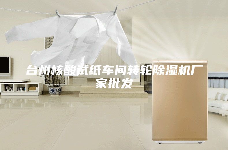 臺(tái)州核酸試紙車(chē)間轉(zhuǎn)輪除濕機(jī)廠(chǎng)家批發(fā)