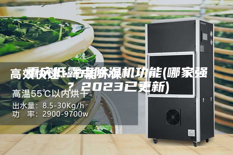 重慶低露點(diǎn)除濕機(jī)功能(哪家強(qiáng)？2023已更新)