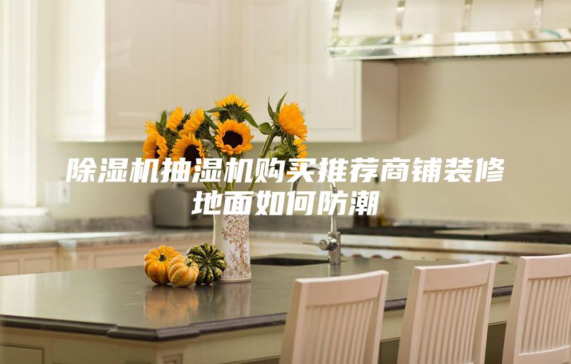 除濕機(jī)抽濕機(jī)購買推薦商鋪裝修地面如何防潮