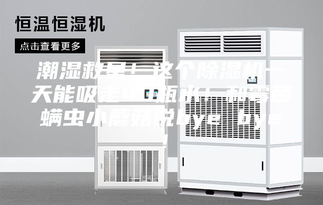 潮濕救星!這個除濕機一天能吸走40瓶水!和霉菌螨蟲小蘑菇說bye bye!