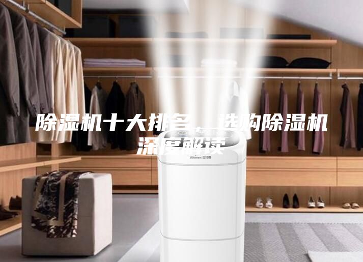 除濕機(jī)十大排名，選購除濕機(jī)深度解讀