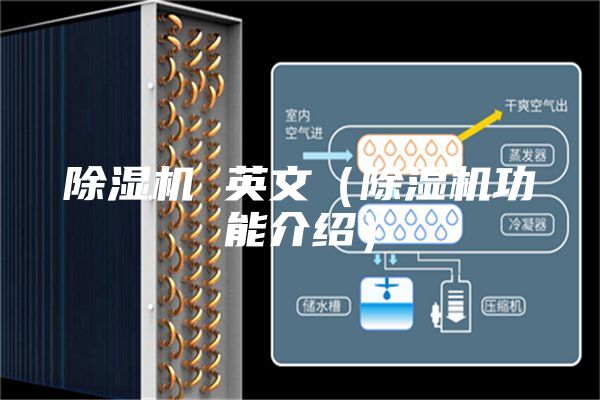 除濕機 英文(除濕機功能介紹)