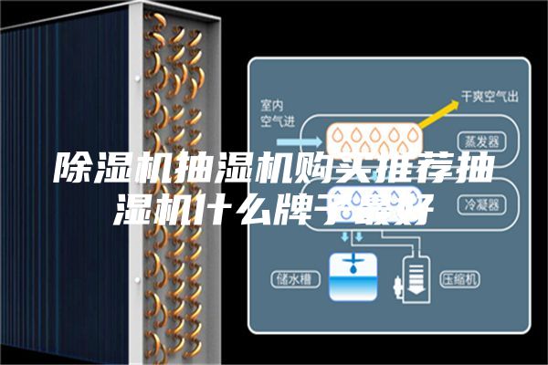 除濕機抽濕機購買推薦抽濕機什么牌子最好
