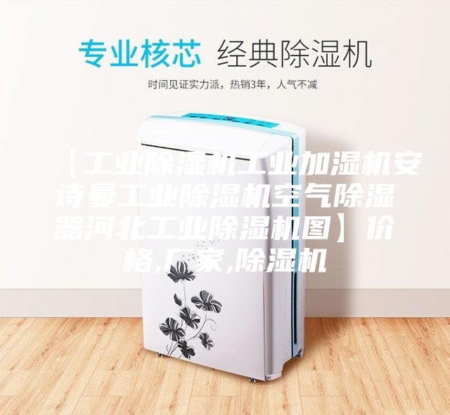 【工業(yè)除濕機(jī)工業(yè)加濕機(jī)安詩(shī)曼工業(yè)除濕機(jī)空氣除濕器河北工業(yè)除濕機(jī)圖】?jī)r(jià)格,廠家,除濕機(jī)
