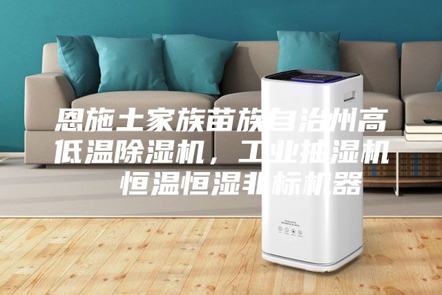 恩施土家族苗族自治州高低溫除濕機(jī)，工業(yè)抽濕機(jī)  恒溫恒濕非標(biāo)機(jī)器