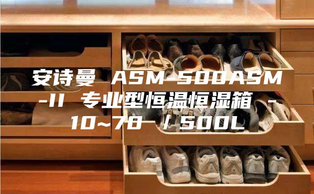 安詩曼 ASM-500ASM-II 專業型恒溫恒濕箱 -10~70℃/500L