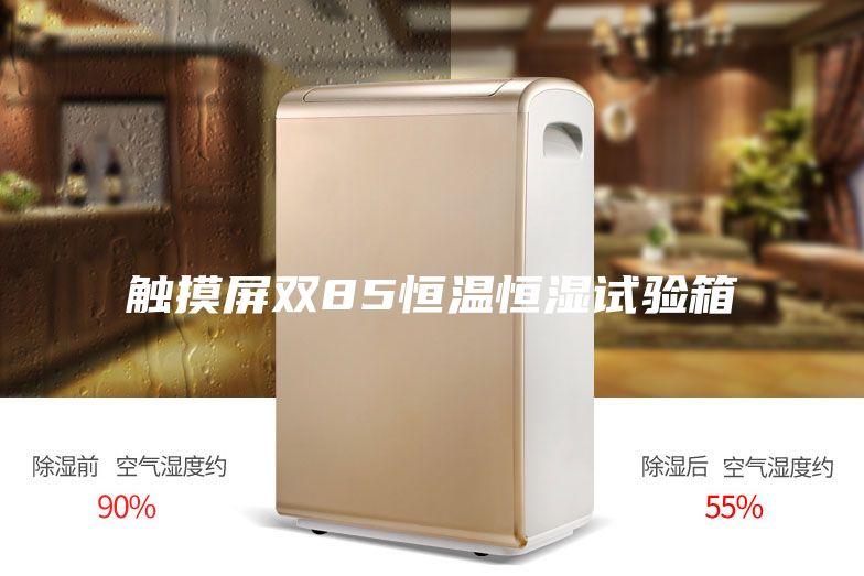 觸摸屏雙85恒溫恒濕試驗箱