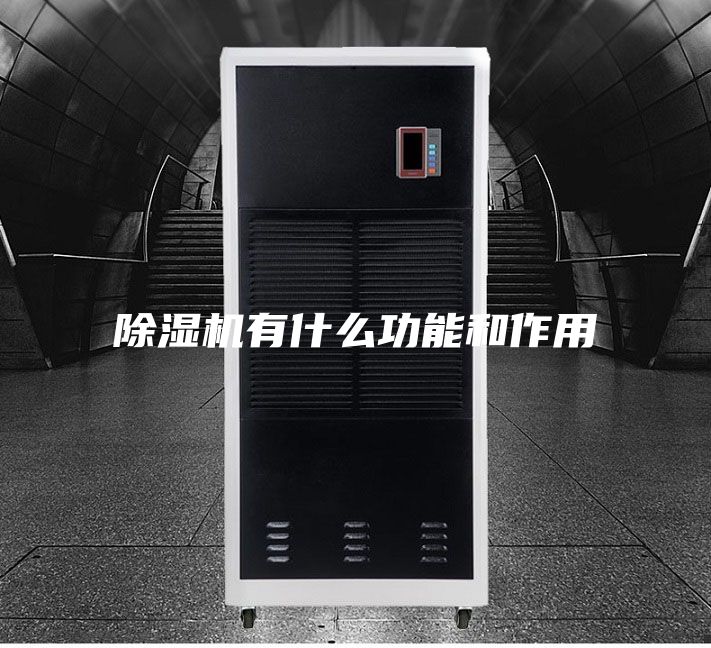 除濕機有什么功能和作用