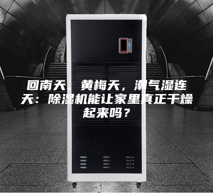 回南天、黃梅天，潮氣濕連天：除濕機能讓家里真正干燥起來嗎？