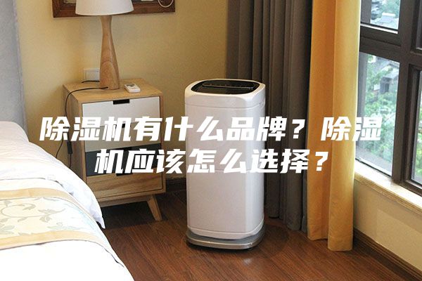 除濕機有什么品牌?除濕機應該怎么選擇?