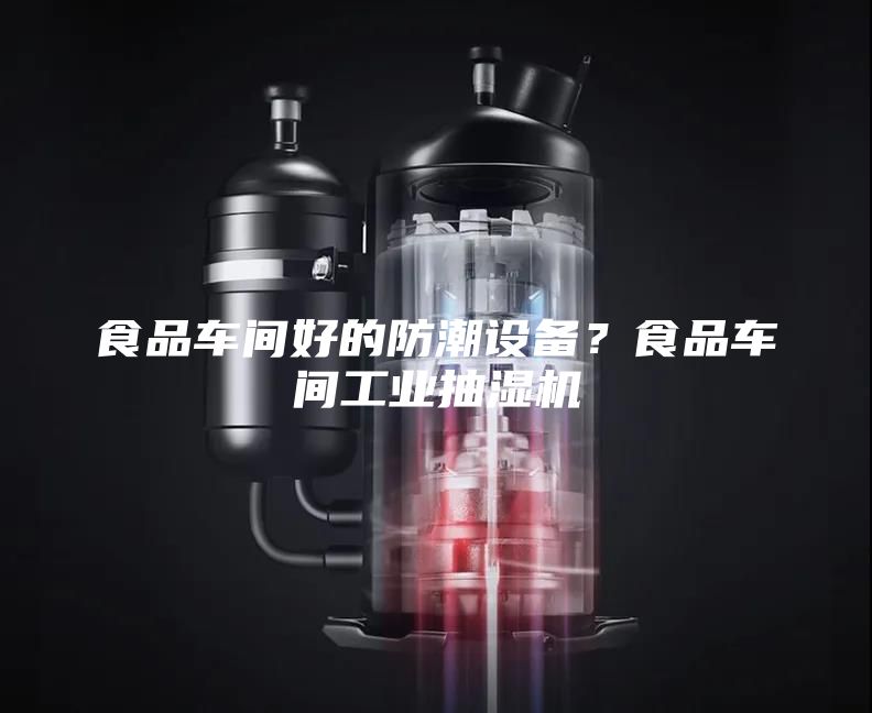 食品車間好的防潮設(shè)備？食品車間工業(yè)抽濕機(jī)