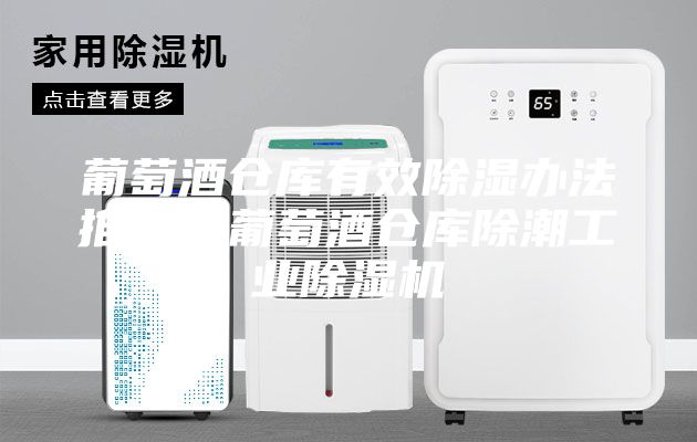 葡萄酒倉庫有效除濕辦法推薦？葡萄酒倉庫除潮工業除濕機