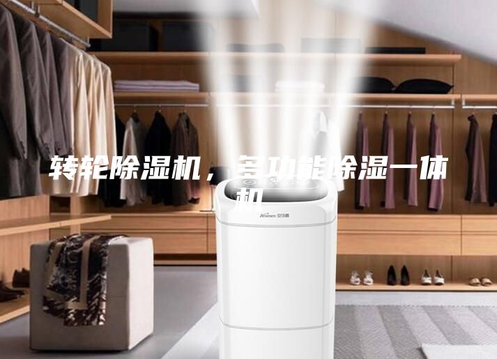 轉(zhuǎn)輪除濕機，多功能除濕一體機
