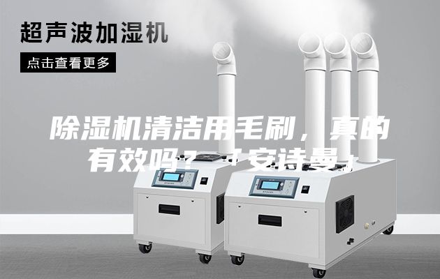 除濕機清潔用毛刷，真的有效嗎？「安詩曼」
