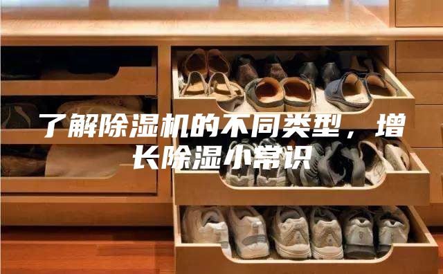 了解除濕機的不同類型，增長除濕小常識