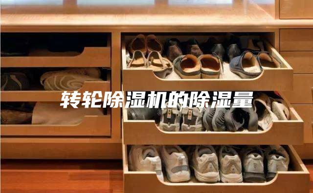 轉(zhuǎn)輪除濕機的除濕量