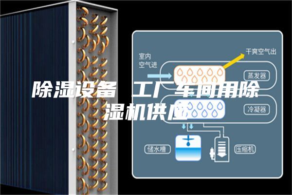 除濕設(shè)備 工廠車間用除濕機(jī)供應(yīng)