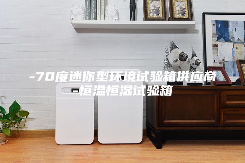 -70度迷你型環境試驗箱供應商-恒溫恒濕試驗箱