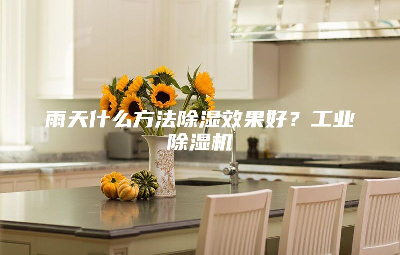 雨天什么方法除濕效果好？工業(yè)除濕機(jī)