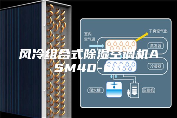 風(fēng)冷組合式除濕空調(diào)機(jī)ASM40-80