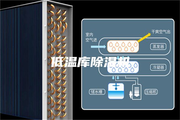 低溫庫除濕機(jī)