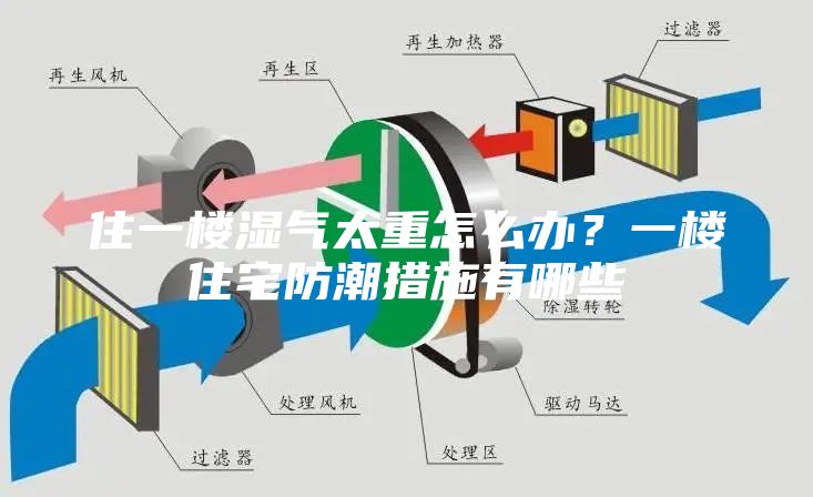 住一樓濕氣太重怎么辦？一樓住宅防潮措施有哪些